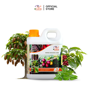 Engrais Liquide Organique 1 Litre Qualité Export Matière Première Nutritive pour Plantes Agricoles - Product Image 2