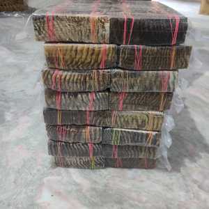 Placas de Cuerno de Oveja Natural - Pulido y Sin Terminar/Sin Cortar, Estilo Náutico Animal, Decoración Ecológica para el Hogar en Venta - Product Image 3