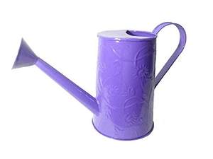 Regadera de metal de gran capacidad diseñada para un riego diario eficiente que proporciona un control estable para todo tipo de plantas - Product Image 4