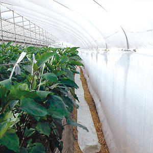 Insulated Shipping Roll Materials Green Agricultural Greenhouses Inside Lining Air <b>Bubble</b> Film <b>Wrap</b> Soft Packaging Materials - Product Image 2