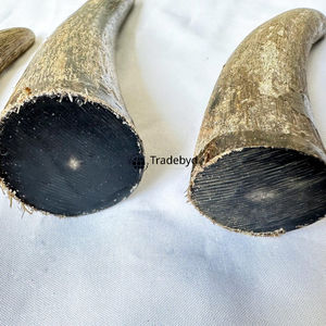 Artisanat en corne fait main Tradebyd, qualité supérieure, matériau écologique et biologique, décoration intérieure, art unique, collection de cadeaux de luxe - Product Image 5