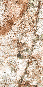 Carreaux de marbre chinois Nouveauté Arrivée Inde Carreaux de décoration intérieure 600X1200mm Fabrication en Inde pour maison de luxe. - Product Image 4