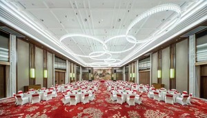 Tapis de salle de banquet imprimé en 3d Tapis d'hôtel 5 étoiles Lobby Mur à mur Tapis de chambre d'hôtel Wilton - Product Image 2