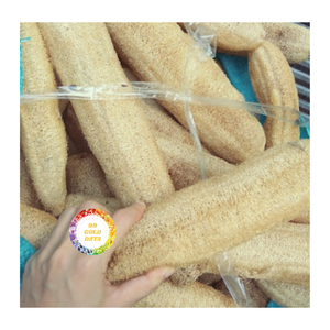 LOOFAH NATUREL DE QUALITÉ SUPÉRIEURE DU VIETNAM PRODUIT ÉCOLOGIQUE ADAPTÉ AU NETTOYAGE Offre Spéciale À L'EXPORTATION - Product Image 5