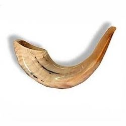 Shofar Natural de Cuerno de Carnero Kosher para Fines Religiosos, Cuerno de Oveja Pulido, Decoración del Hogar con Estilo Náutico, Estilo Amoroso - Product Image 3