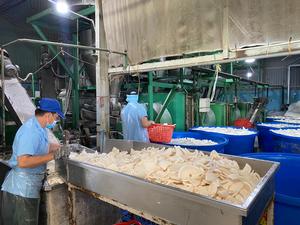 Échantillon gratuit de haute qualité de noix de coco desséchée 60-65% haute teneur en matières grasses qualité fine du Vietnam pas d'Indonésie - Product Image 3