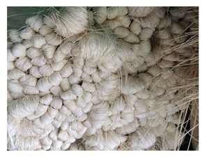 ไม้ไผ่แกนหวายธรรมชาติ - Product Image 5
