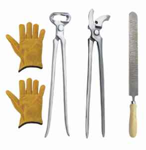 Juego de Herramientas Profesionales para Herrador con Martillo, Lima, Clincher, Cuchillo y Pinza en Bolsa de Herramientas - Product Image 1