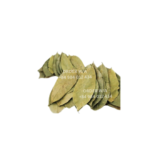 100% Hojas de Guanábana secas naturales 100% naturales de jardines mejor precio al por mayor para hacer té - Product Image 3