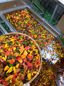 USAGE VARIETY DRIED SOFT FRUIT NATURAL <b>CHEWY</b> DRIED FRUITS BEST SNACK FROM VIETNAM BLUE LOTUS - Product Image 4