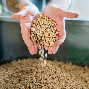 Pellets de madera de primera calidad para arena para gatos, proceso de granulado maduro, buena palatabilidad y aglomeración rápida - Product Image 4