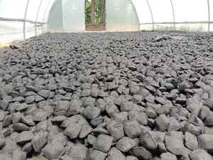 Briquetas de Cáscara de Coco de Primera Calidad para Barbacoa y Cocina al Aire Libre, Suministro Mundial Disponible - Product Image 2