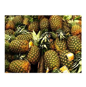 <b>Fresh</b> <b>Pineapple</b> Wholesale - Premium Quality and Competitive Price - Product Image 3