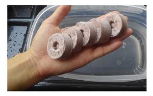 Qualité supérieure pour tourbe de noix de coco/tourbe de coco prête à exporter pour la plantation de jardin à bas prix, tourbe naturelle en fibre de coco - Product Image 5