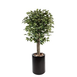Árbol Artificial-Ficus Benjamin - 180cm - Product Image 1
