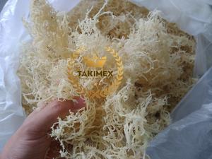 มอสทะเลสีน้ำตาล/เหลืองอบแห้งสาหร่าย Eucheuma cottonni จากโรงงานเวียดนามมอสทะเลพร้อมเกลือโรงงานผลิตในเวียดนาม - Product Image 3