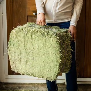 High Quality Direct Sale Alfalfa Hay Bulk <b>Supply</b> Excellent Horse <b>Feed</b> for Livestock - Product Image 6
