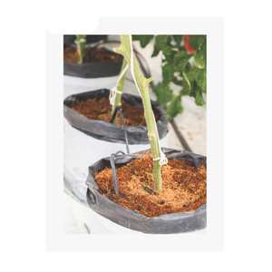 Sacs de culture durables de haute qualité pour le jardinage et l'approvisionnement en vrac de l'agriculture en provenance d'Inde - Product Image 4