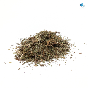 Pissenlit séché vietnamien, emballage sûr, prêt à l'exportation - Product Image 6