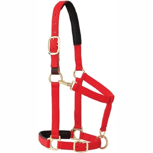 Nouveau 2025 vente chaude Sports Horse Halters OEM Services Rope Halters Cheap Price - Product Image 4