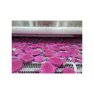 ไดซ์ผลไม้มังกรแดงแช่แข็งคุณภาพสูงเทคโนโลยี iqf ไม่มีสารกันบูดเหมาะสำหรับชามปั่นและเครื่องดื่ม - Product Image 4