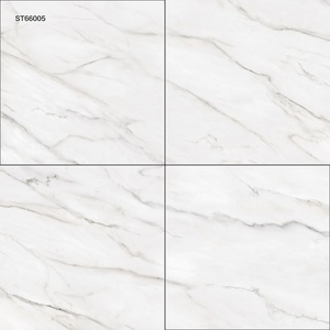Baldosas de Seranita Modernas Más Vendidas ST66005 60x60cm para Baño y Supermercado de un Fabricante Confiable - Product Image 1