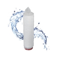 Cartucho de Bomba de Filtración de Agua Plegado de PVDF de Marca Privada del Proveedor, 0.22 0.45 Micrones, Absoluto, 5'' 10'' 20'' 30'' 40'', Código 7