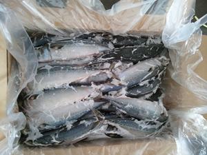 บริษัทอาหารทะเล ปลาแมคเคอเรลผีเสื้อทั้งตัว ออร์แกนิค พรีเมียม แช่แข็ง - Product Image 2