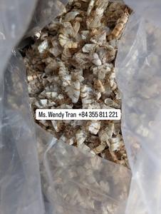 CÁSCARA DE CAMARÓN VIETNAMITA CALIDAD PREMIUM PARA EXPORTACIÓN A GRANEL CON LOS MEJORES PRECIOS Y SUMINISTRO CONFIABLE - Product Image 6