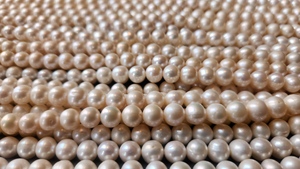 Chaînes de perles d'eau douce dorées indiennes de haute qualité, naturelles, non traitées, blanches, 8 mm, lisses, changement de couleur, certifiées par un tiers - Product Image 2