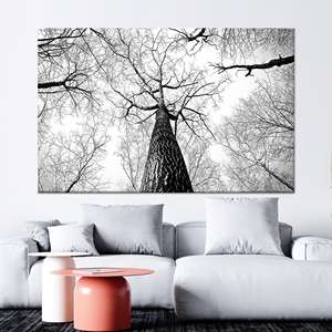 Lienzo de fotografía del bosque en blanco y negro: impresión minimalista de la naturaleza, lienzo enrollado de 1 pie - Product Image 1