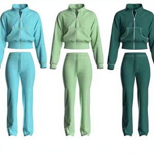 Ensemble de survêtement décontracté à capuche pour femme, style streetwear personnalisé, pantalon évasé léger, unisexe, en coton 100% vintage, couleur pierre - Product Image 1