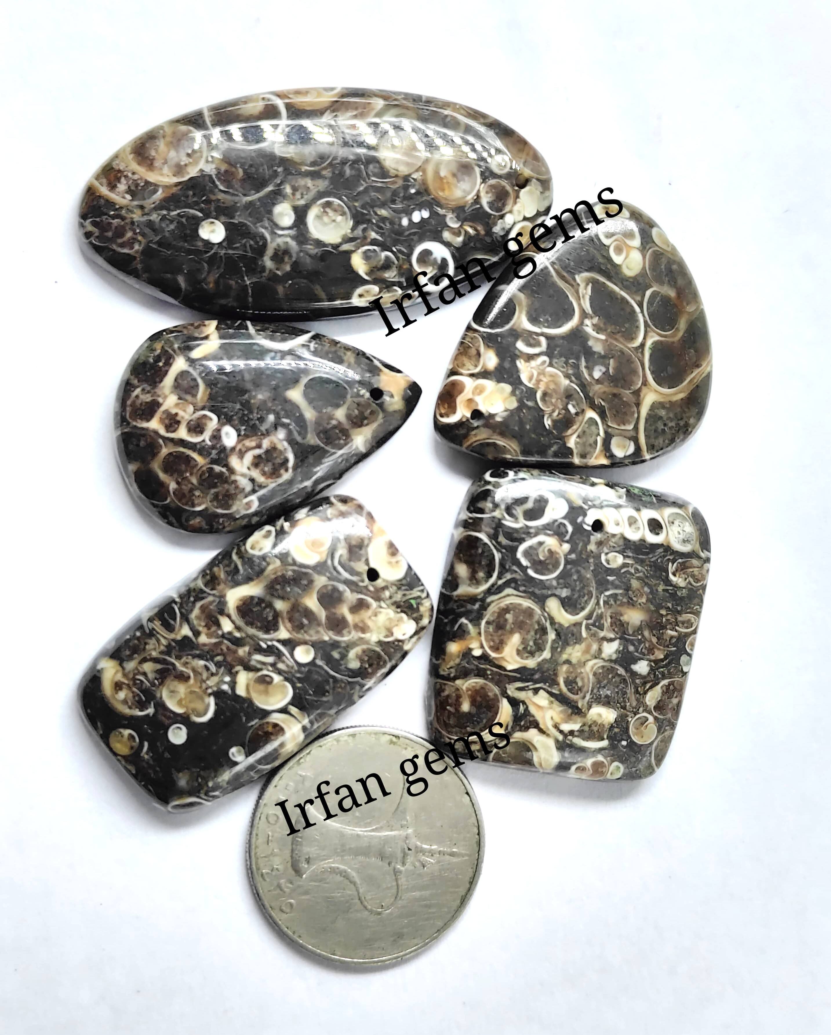 เห็นเป็นภาพ