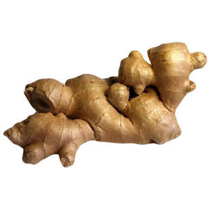 Jengibre Orgánico Fresco de Origen Estadounidense, Calidad a Granel, 100% Natural, Listo para Consumo, en Oferta - Product Image 1