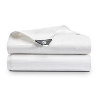 Offre Spéciale 100% bâche imperméable de haute qualité de couverture de camion bâche transparente résistante 10x10 bâche de PE de tente Protection UV