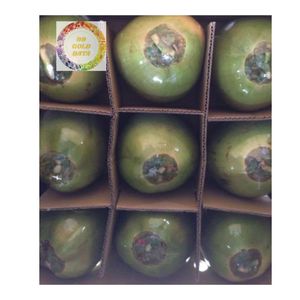 VIETNAM berlian segar memotong kelapa muda kelas tinggi rasa manis kelapa wangi alami untuk pasar ekspor - Product Image 1