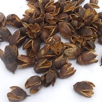 Matière végétale sèche naturelle sèche non parfumée Capsule de bakuli pour pot-pourri de décoration