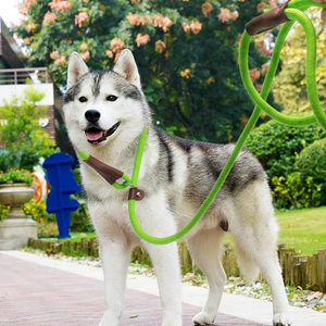 ปลอกคอสุนัขแบบมีไฟสายจูงควบคุมด้วยสีและโลโก้ตามสั่งวัสดุหนังคุณภาพสูงและไนลอน - Product Image 6