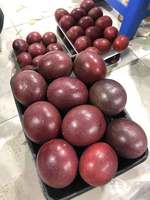 Grosir Grosir Buah Markisa, Penjualan Terbaik, Lezat, Harga Murah, Musim Panen Baru, Tanaman, Jeruk Kustom Segar