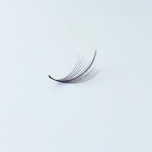 Meilleur prix ELFA Beauty Niche pour extensions de cils en fibre PBT coréenne faites à la main, effet doux et vaporeux/camélia, design unique, populaire et nouveau - Product Image 2