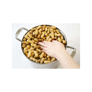 Cacahuetes de piel roja orgánicos de primera calidad al por mayor, cacahuetes secos crudos naturales de la mejor calidad, gran oferta con precio competitivo - Product Image 3