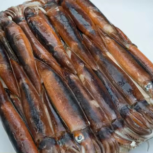 Mùa mới đông lạnh mực <span class=keywords><strong>illex</strong></span> toàn bộ mực tròn - Product Image 1