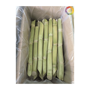 Materias primas frescas, caña de azúcar congelada con o sin cáscara, calidad de exportación, productos naturales de caña de azúcar - Product Image 2