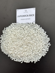 ARROZ PARA SUSHI CAMOLINO DE GRANO CORTO JAPONICA CALROSE 5% PARTIDO DE VILACONIC VIETNAM [Sandra] - Product Image 6