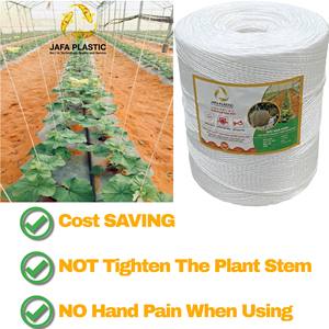 La mejor FÁBRICA DE Vietnam, venta al por mayor, hilo de yute de plástico liso respetuoso con el medio ambiente, hilo de invernadero para embalaje de frutas, colgar - Product Image 3