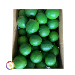 Limas orgánicas sin semillas Limas orgánicas frescas a granel de alta calidad a precios mayoristas para exportación y distribución - Product Image 2