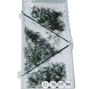 Hot New Korean PBT Fiber Eyelash Extensions 1000 Box 7D Loose 0.03mm-0.20mm Mixte Longueur À La Main Du Vietnam - Product Image 3