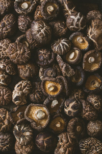 Hongos Shiitake Secos de Sabor Intenso de Vietnam, Larga Vida Útil, Perfectos para Exportación y Venta al por Menor - Product Image 5