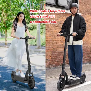 Factory In Stock Electric Bike Electric Kick Scooters With 500W Motor 10 Inches Wheel