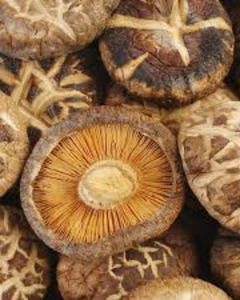 HONGOS SHIITAKE SECOS PARA SOPAS Y SABORES - Product Image 1